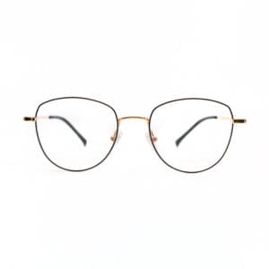 Glasses022
